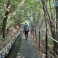 P1109270.jpg