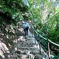 P1109272.jpg