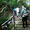 P1109274-1.jpg