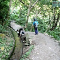 P1109277.jpg