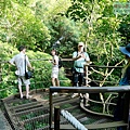 P1109279.jpg