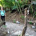 P1109288.jpg