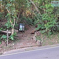 P1109289-2.jpg