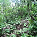 P1109628.jpg