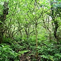 P1109630.jpg