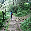 P1109634.jpg