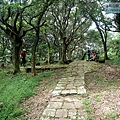 P1109646.jpg