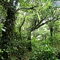 P1109649.jpg