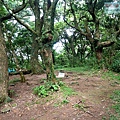 P1109652.jpg