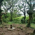 P1109655-2.jpg