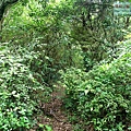 P1109657.jpg