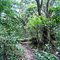 P1109658.jpg