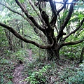 P1109659.jpg