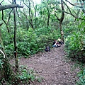 P1109660.jpg