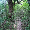 P1109665.jpg