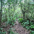 P1109666.jpg