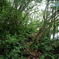 P1109667.jpg
