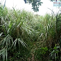 P1109669.jpg