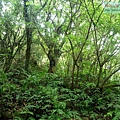 P1109668.jpg