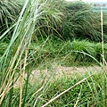 P1109672.jpg