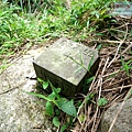 P1109677-1.jpg
