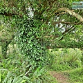 P1109689.jpg