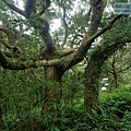 P1109694.jpg