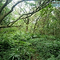 P1109695.jpg
