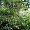 P1109699.jpg