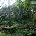 P1109869.jpg