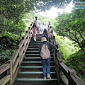 P1111225.jpg