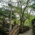 P1111226.jpg