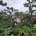 P1111233.jpg