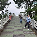 P1111234.jpg