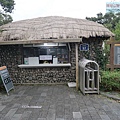 P1111244.jpg