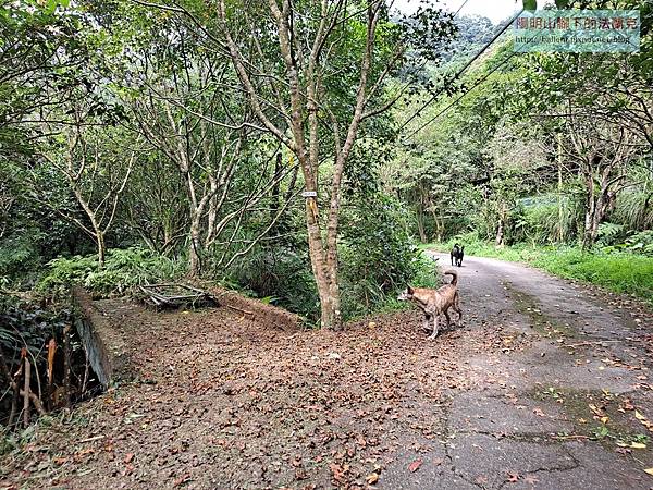 P1112193-2.jpg