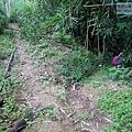 P1122340.jpg