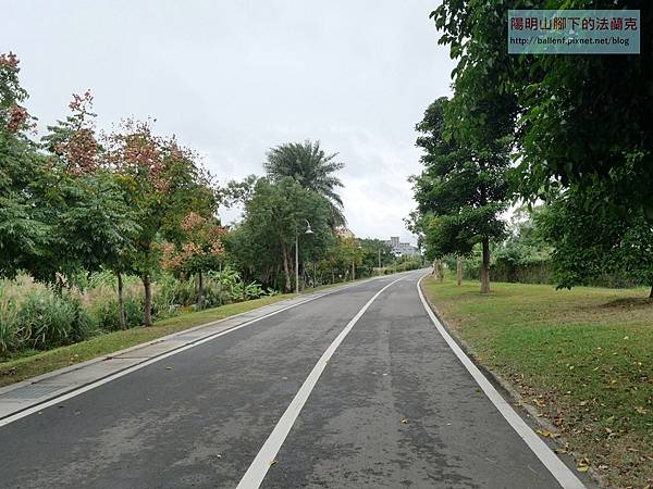 P1123484.jpg