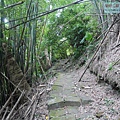 P1124322.jpg