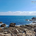 P1146913 (1).jpg
