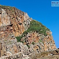 P1146927 (2).jpg