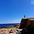 P1146928-2.jpg