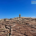 P1146928-3.jpg