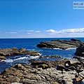 P1146929.jpg