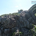 P1146933.jpg