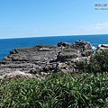 P1146934.jpg