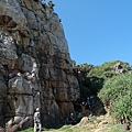 P1146940.jpg