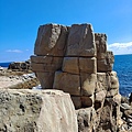 P1146942-1.jpg