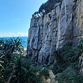 P1146959.jpg
