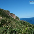 P1146962.jpg